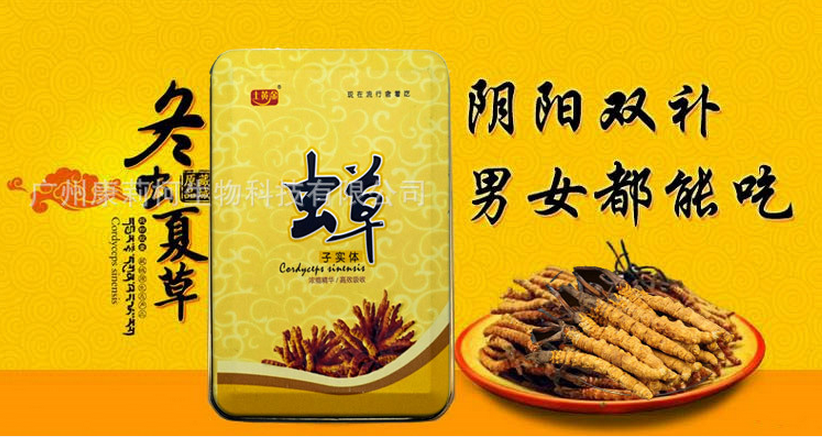 леденецы кордицепса в жестяной банке-1.png